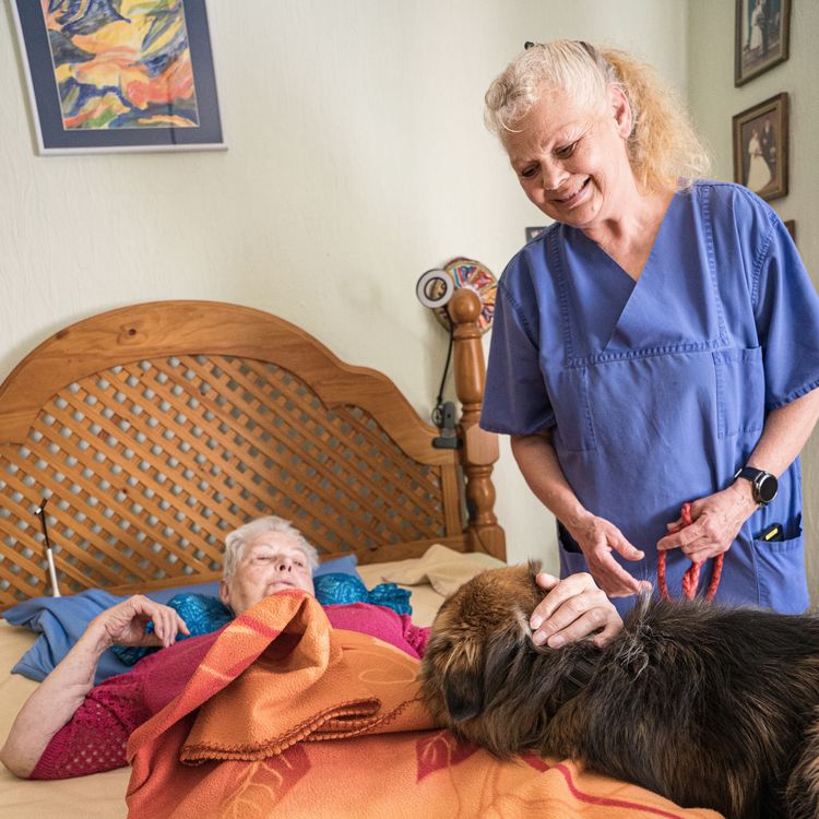 Mitarbeiterin mit Klientin und Hund am Bett
